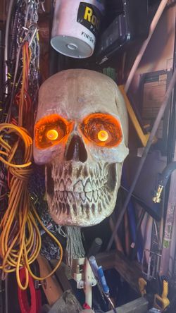 Unusual plastic skull head