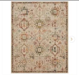 Home Decorators Collection Medallion Multi 7 ft. 10 in. x 10 ft. Indoor Area Rug