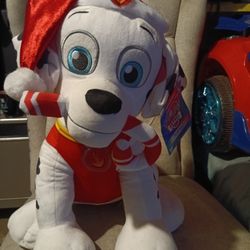 Paw Patrol Brand New