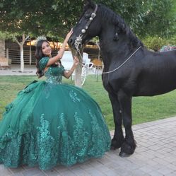 Rent Quinceañera Dresses