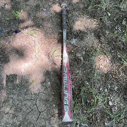 Bat