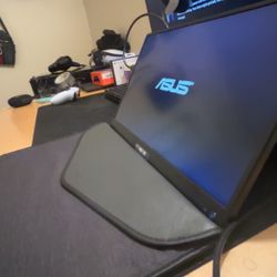 portible zsus monitor 100 hz