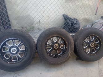 Rines/Rims