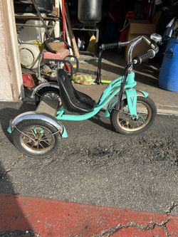 Shcwinn Tricycle Roaster