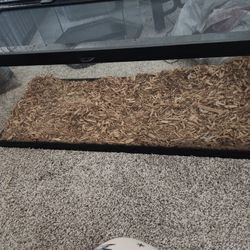 Major Sale Need Gone By Tomorrow 