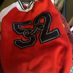 Large dog jersey
