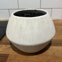 Plant Pot 