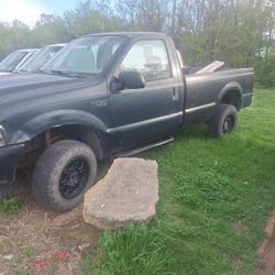 ford 2004 titulolinpio 2000