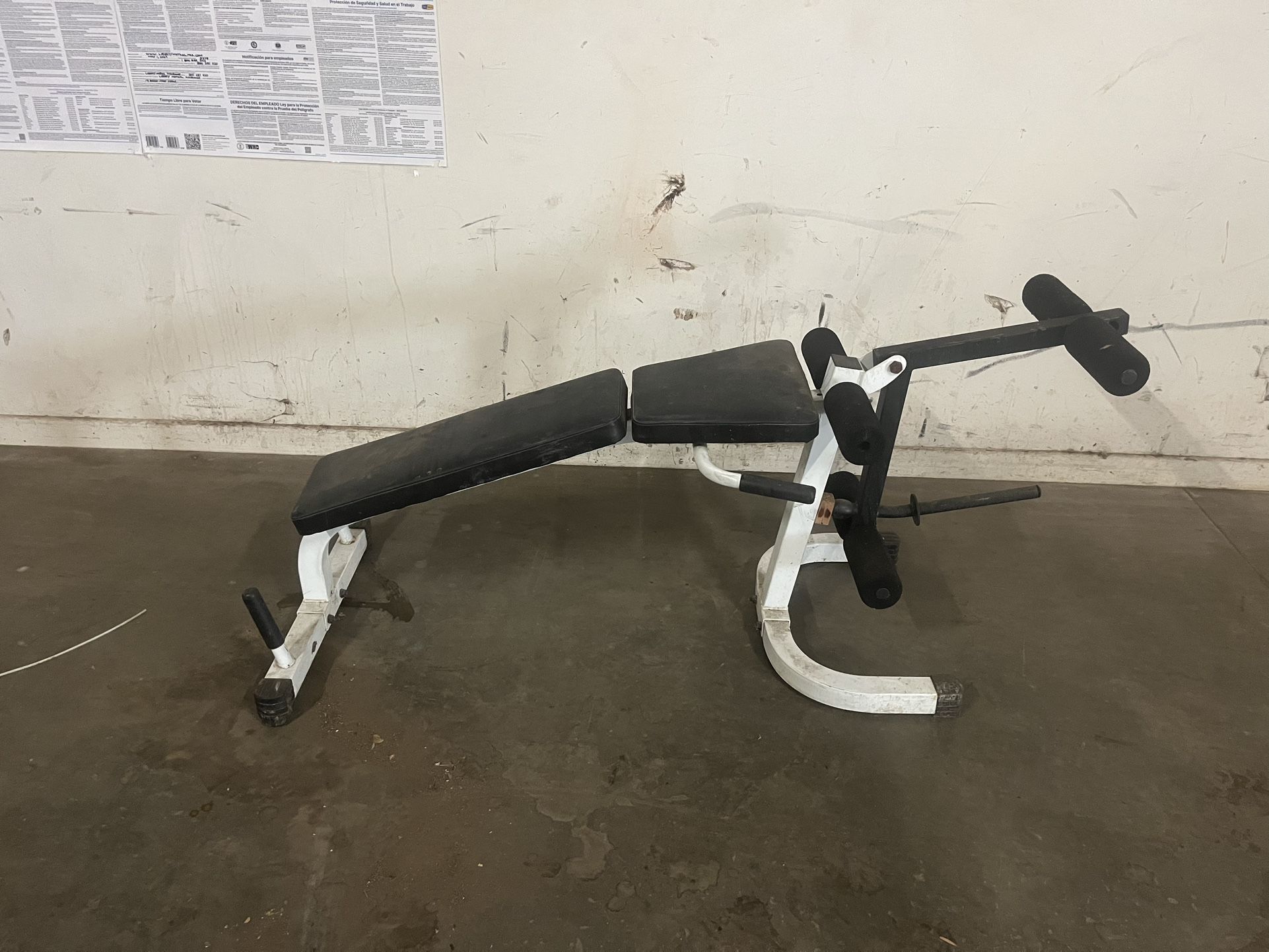 Leg Extension / Curl Bench