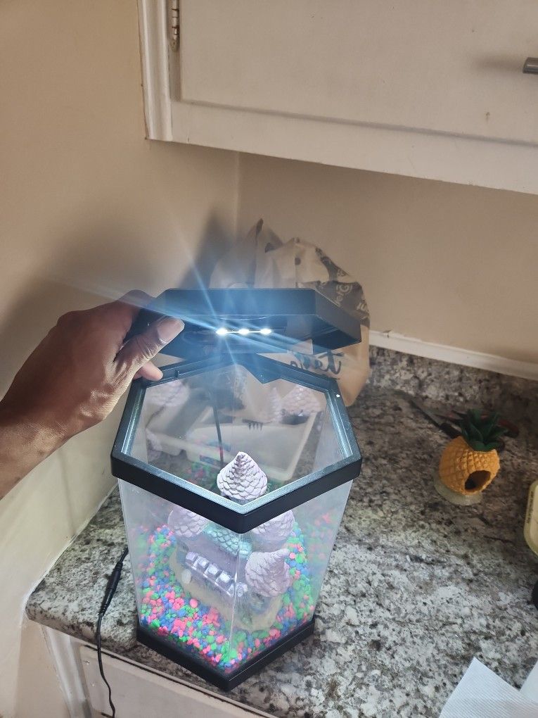 Kids Betta Fish Tank 