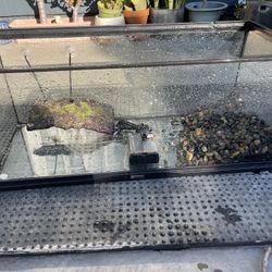 20 Gallon Aquarium 
