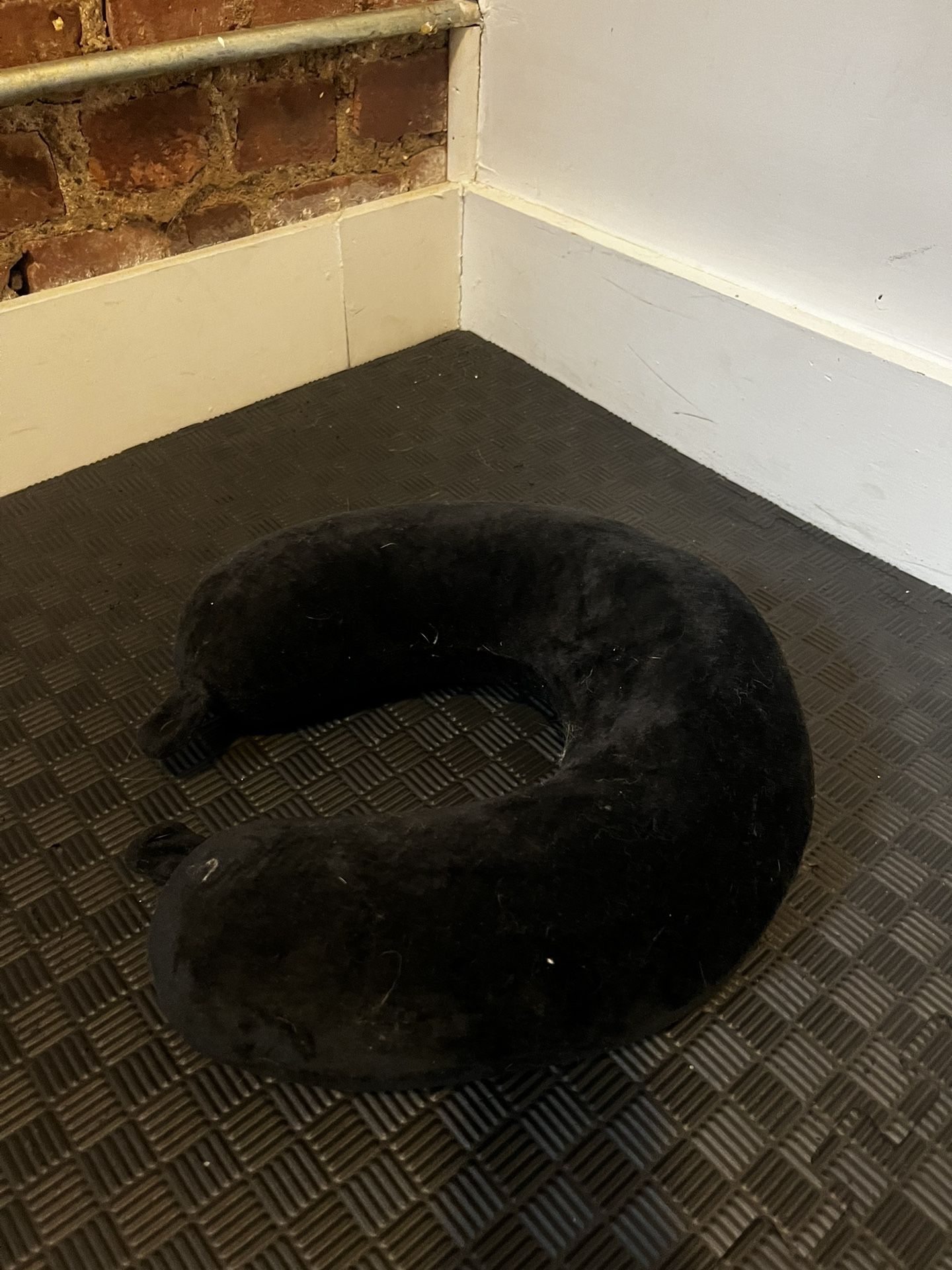 Tempur-pedic Plush Travel Pillow