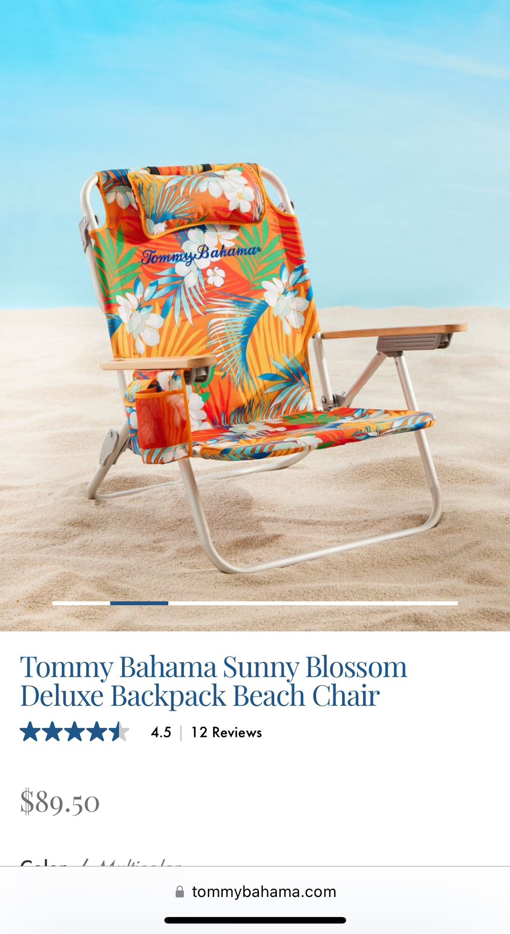 NEW- Beach Chair  Backpack  With Cooler