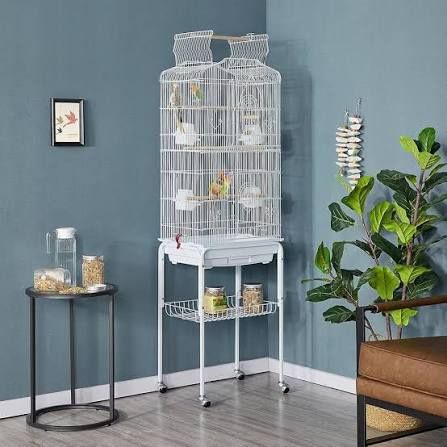New Bird Cage