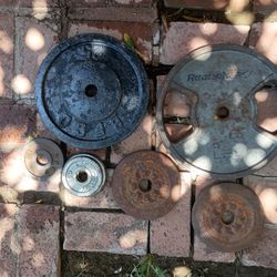 Weight Plates 