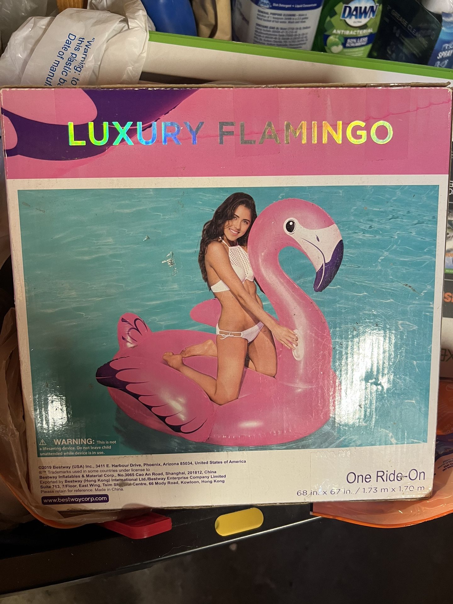 Pool Floaty