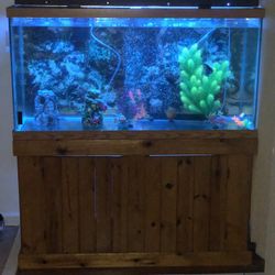 Fish Tank 90 gallon and Stand