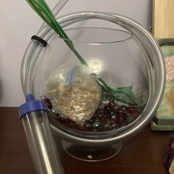 Fishbowl With Accessory 