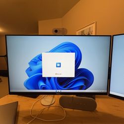 Dell Monitor x 2 + Monitor Arm (Like new condition!)