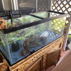 100 Gal Fish Tank With filter and light