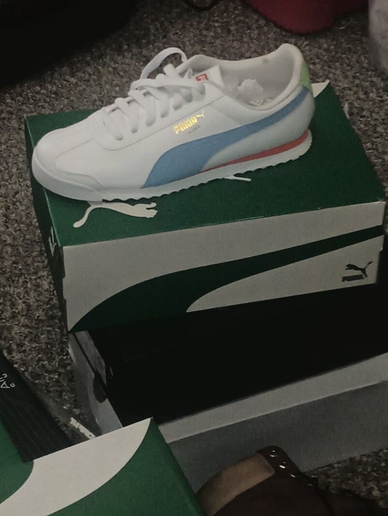 Puma Size 13