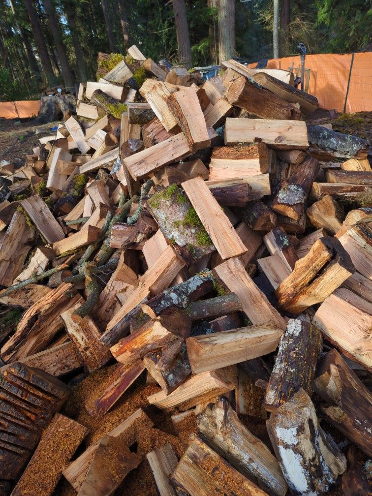 Maple Firewood
