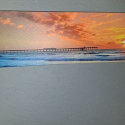 $50  All 5 Canvas
