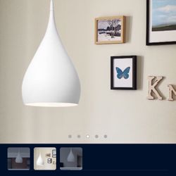Teardrop Hanging Light