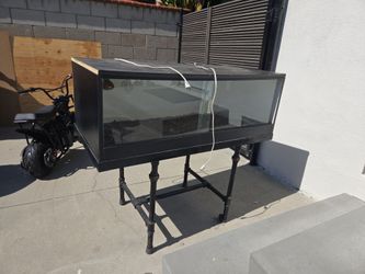 Reptile tank
