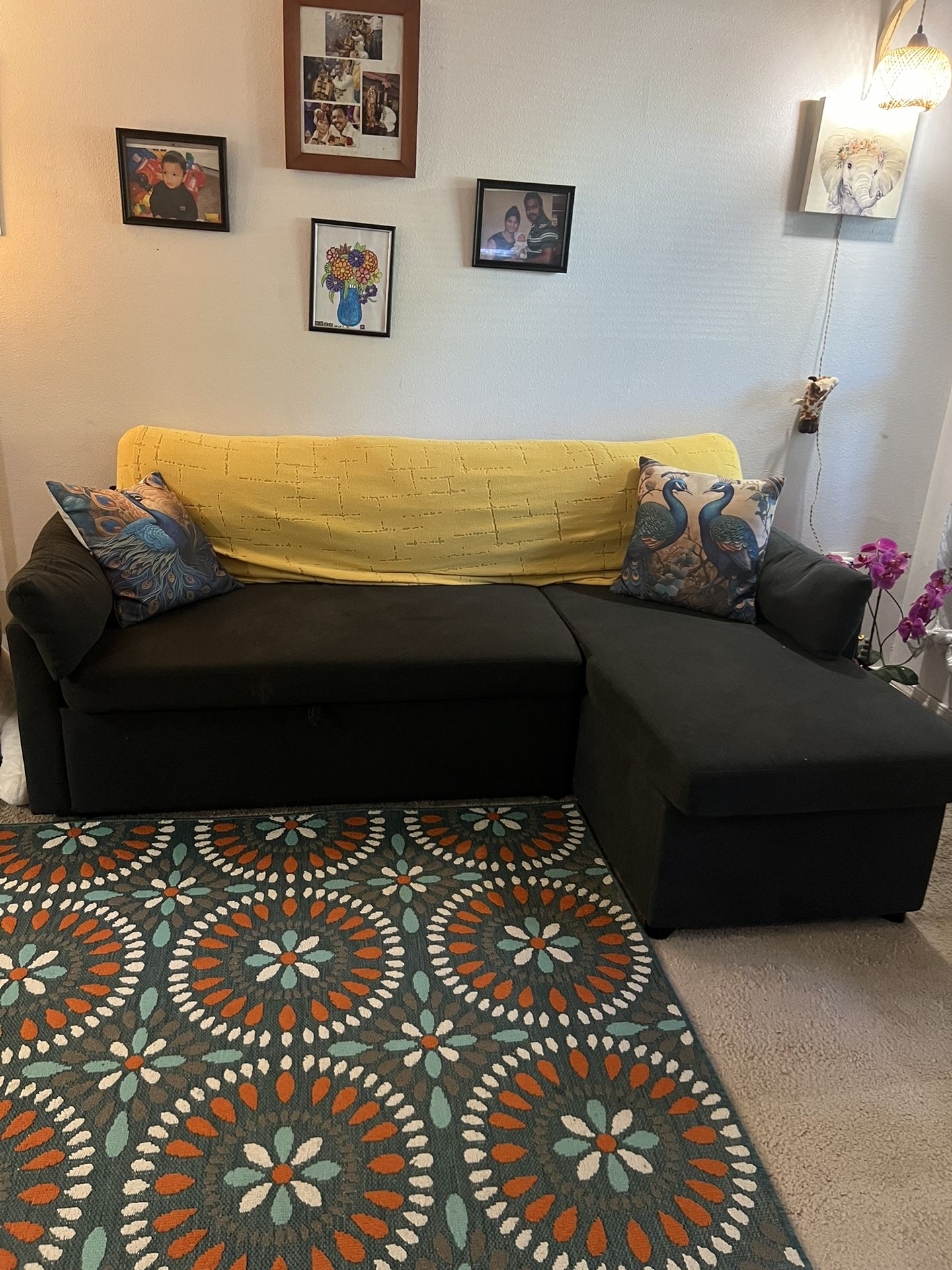 L Shape Couch Come Bed Serious Inquiry Only