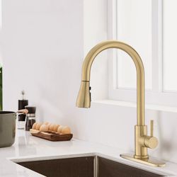 Pull Down Single Handle Kitchen Faucet