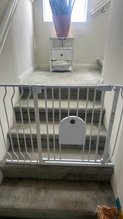 Baby gate with pet door