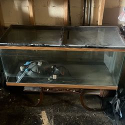 Fish Tank