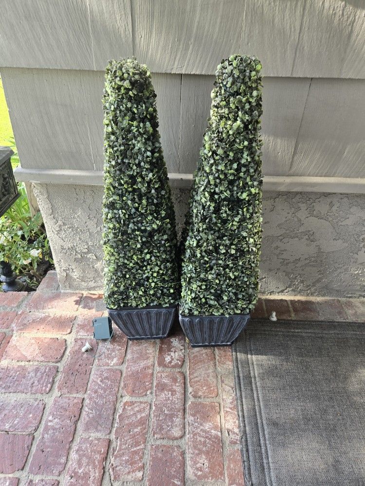 Green Topiaries