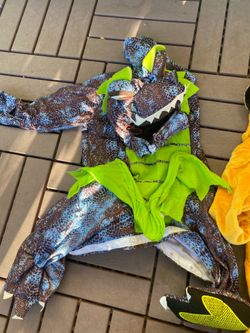 Dragon costume