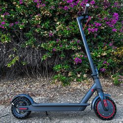 Electric scooter