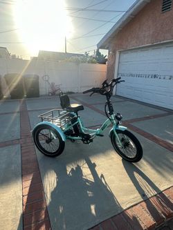Ollie Leo E-trike
