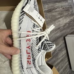 Boost 350 V2 Zebra