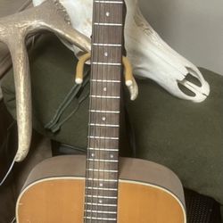 acoustic guitar