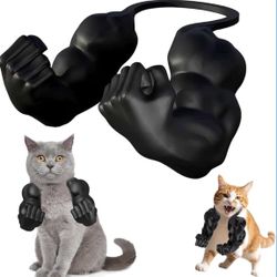 Funny Cat Muscle Arms