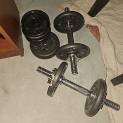 Weights Dumbell 