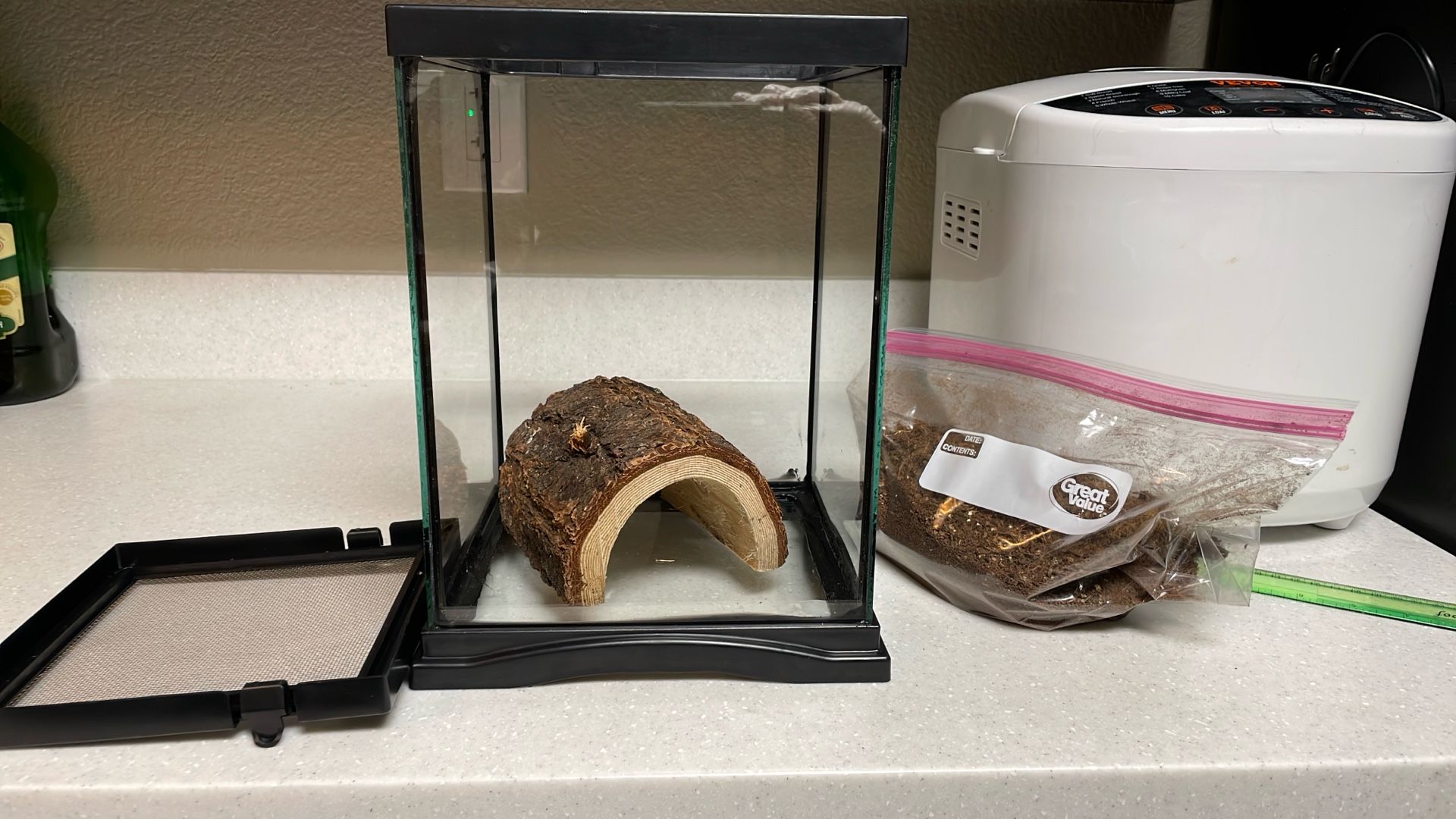 🕷️ Insect 🐜 Habitat 🐞