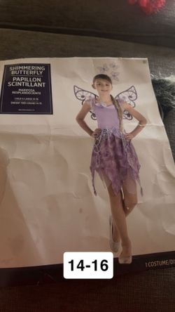 little girl butterfly costume