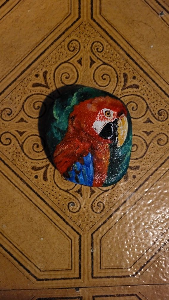 Parrot Piedra
