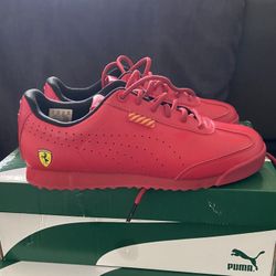 Puma