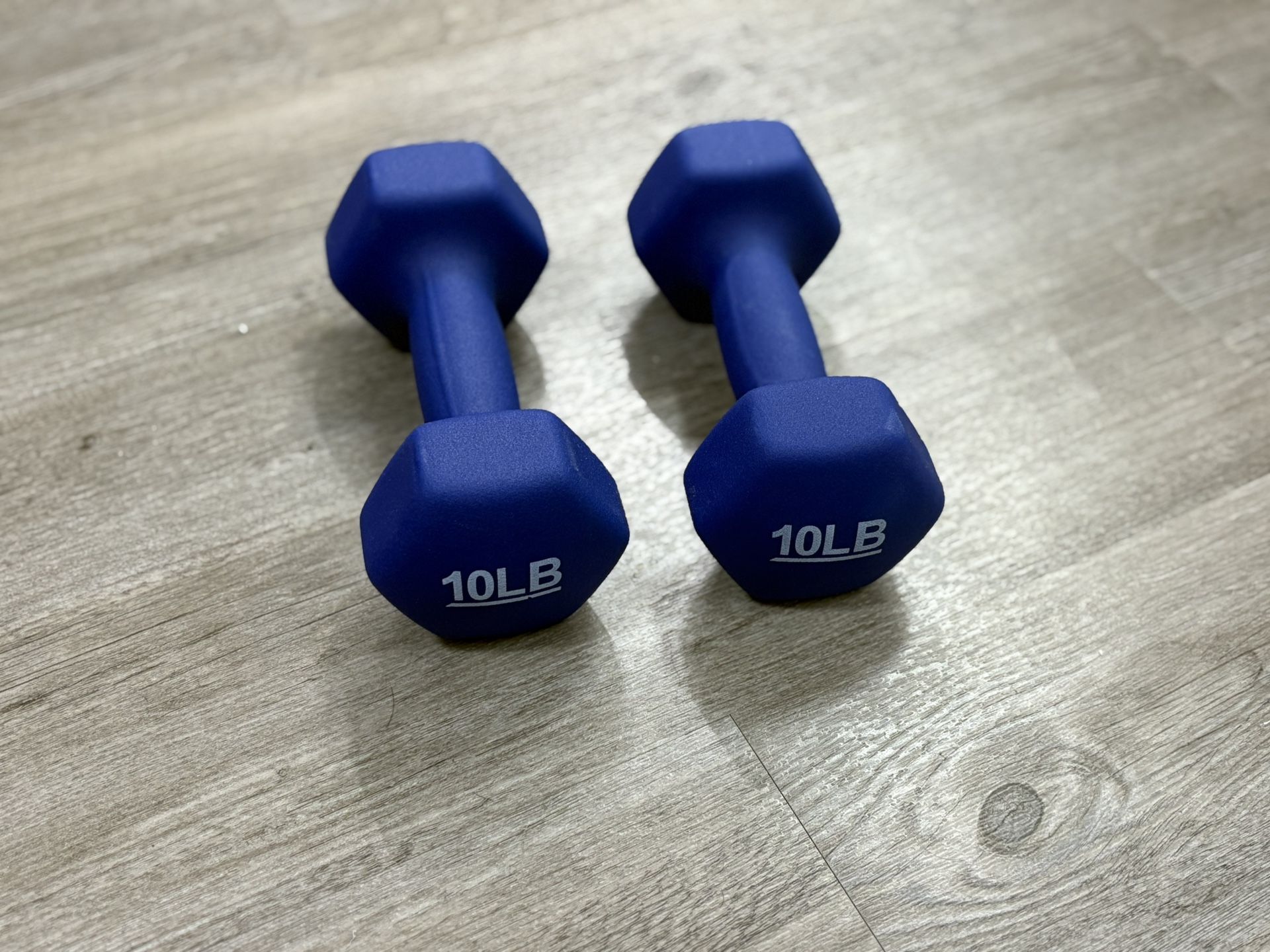 10lbs Dumbbells For Home Gym