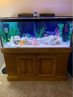 75 gallon fish tank aquarium, stand and more