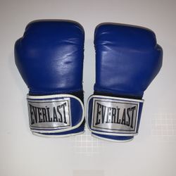 Everlast boxing gloves 