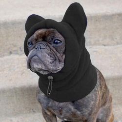 Dogwalking | Caminador de Perro