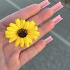🌻